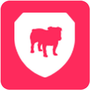 Logo VPN do Bullguard Ícone Logo VPN do Bullguard Ícone