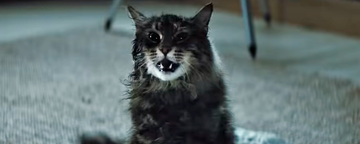 Imagem de: A lista dos 10 filmes mais pirateados da semana (13/05/2019)