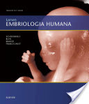 Logo Larsen Embriologia Humana Ícone Logo Larsen Embriologia Humana Ícone
