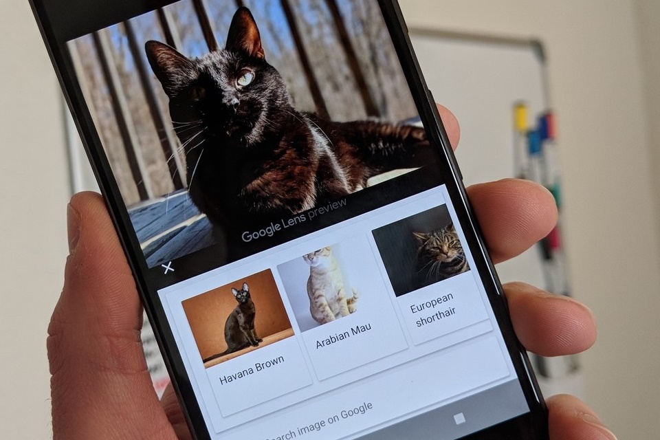 Imagem de: Google Lens expande alcance para versão web em smartphones