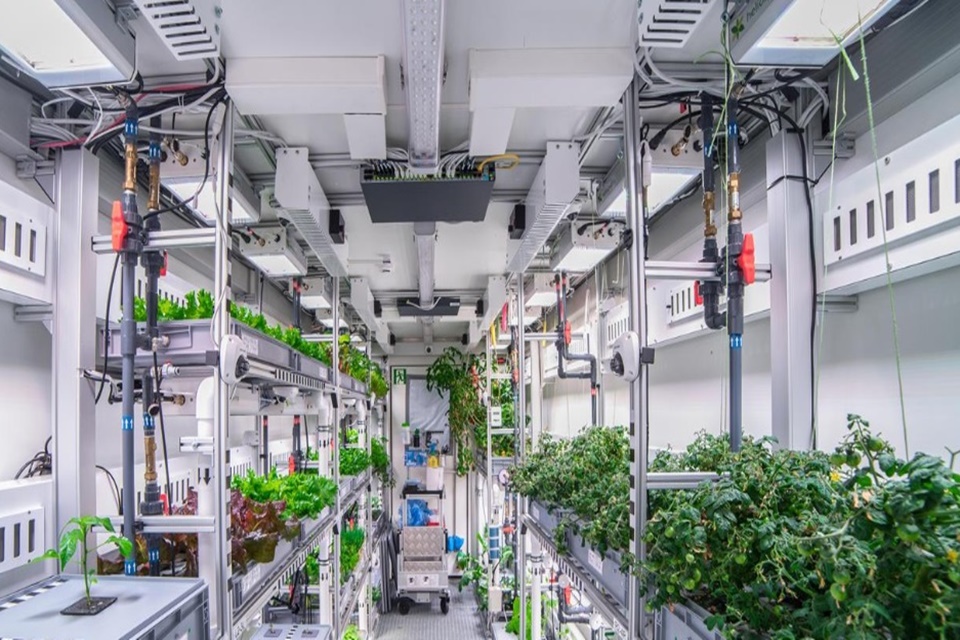 Cientistas criam estufa capaz de cultivar vegetais até em Marte