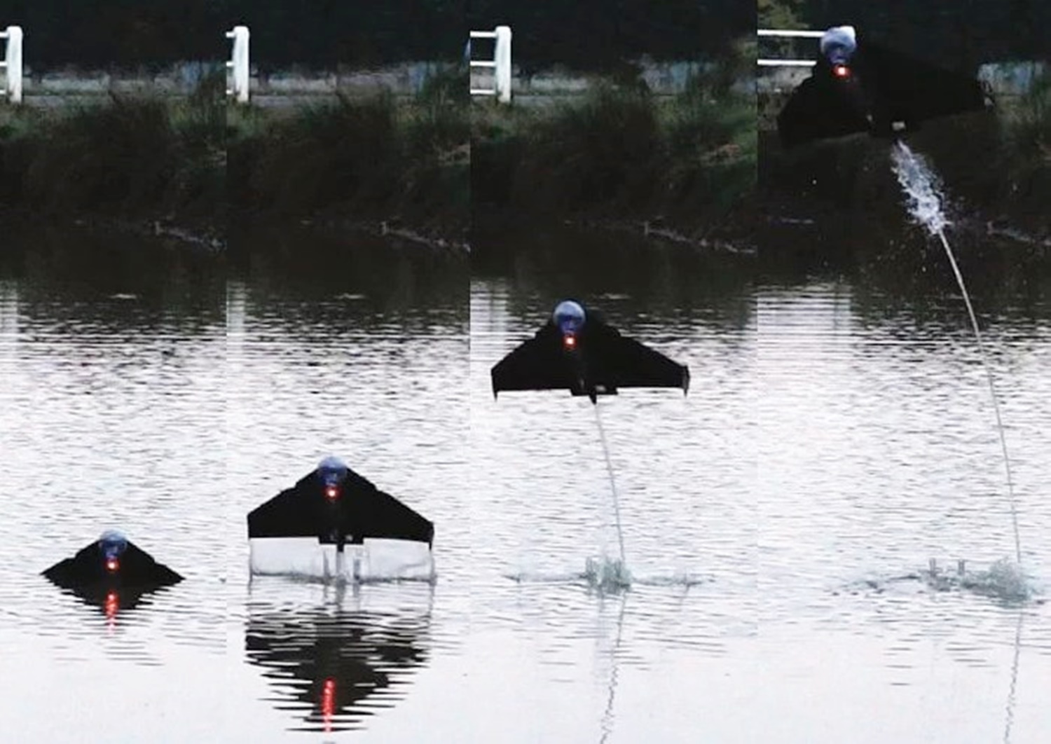 'Drone peixe-voador' é capaz de decolar mesmo se estiver debaixo d’água