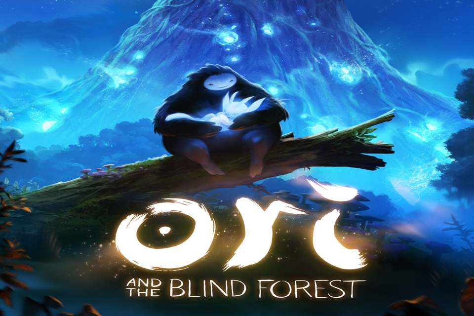 Ori and the blind forest карта полная