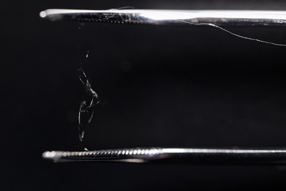 Bioplástico de seda de aranhas e madeira vira alternativa ao plástico comum