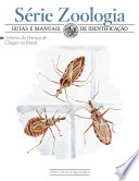 Logo Vetores da doença de Chagas no Brasil Ícone Logo Vetores da doença de Chagas no Brasil Ícone