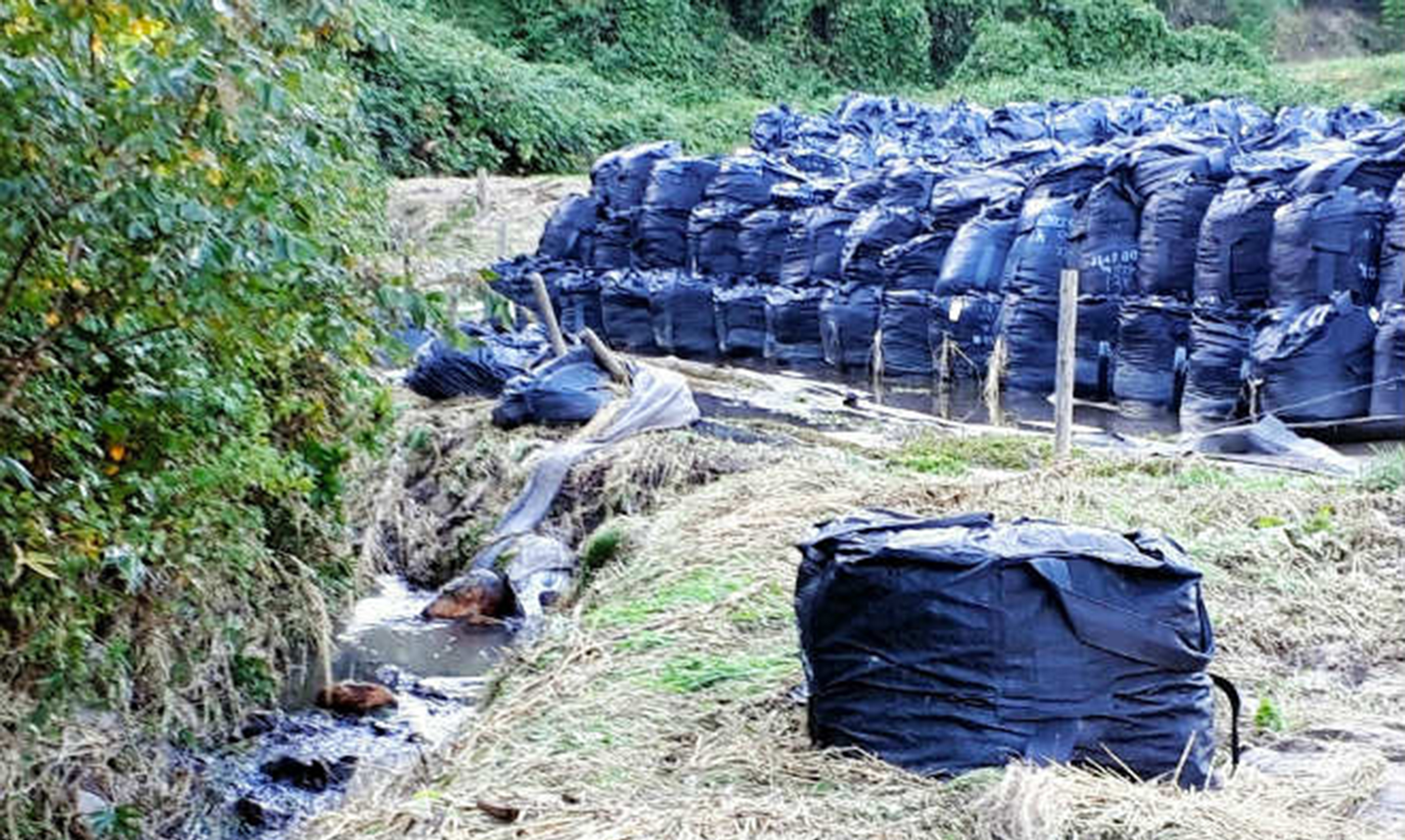 Tufão Hagibis derrama resíduos nucleares em rio do Japão