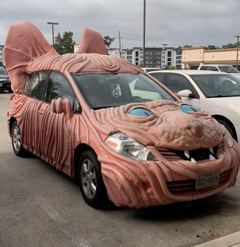 carro imita gato sem pelo