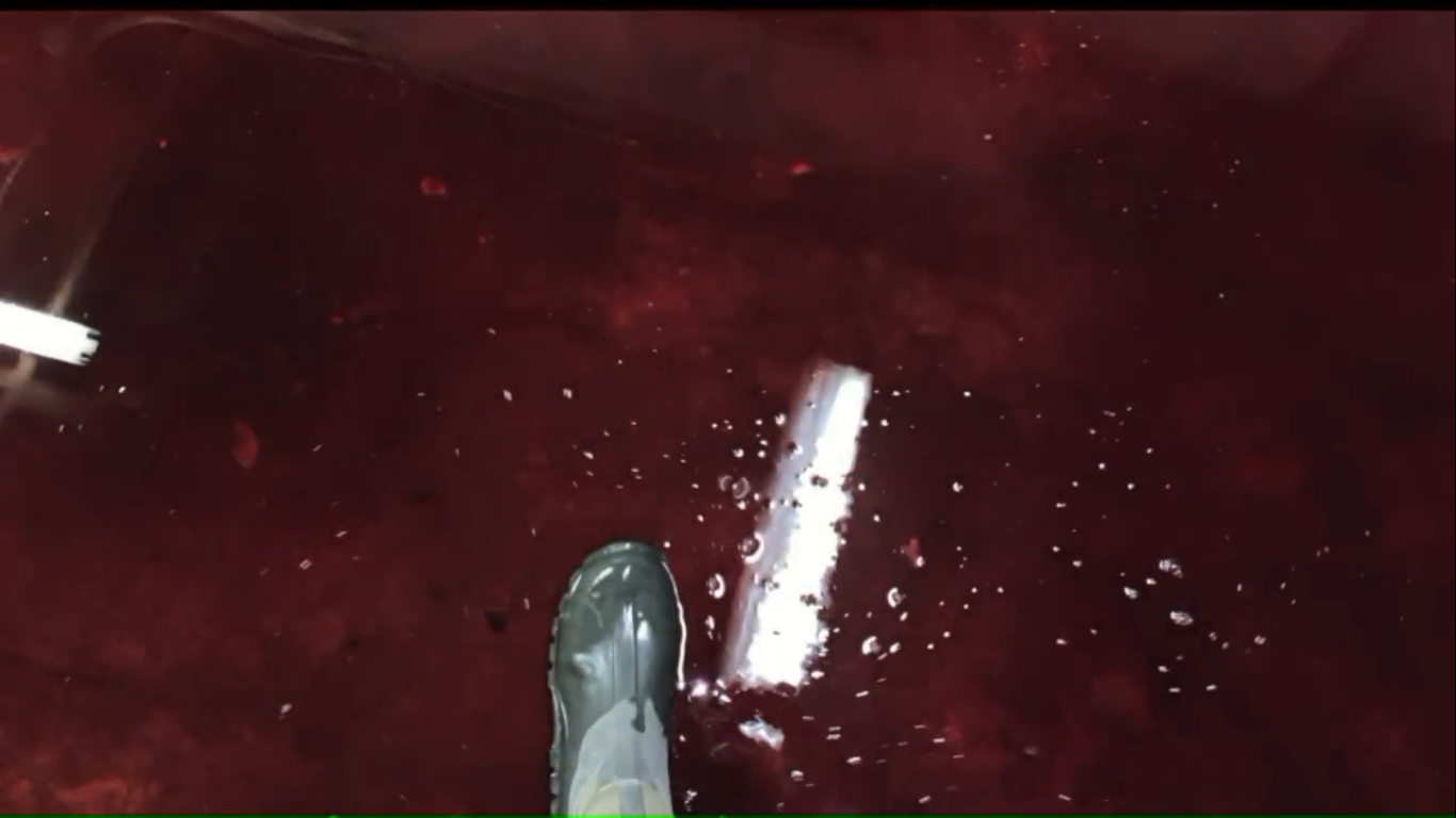 inundação de sangue