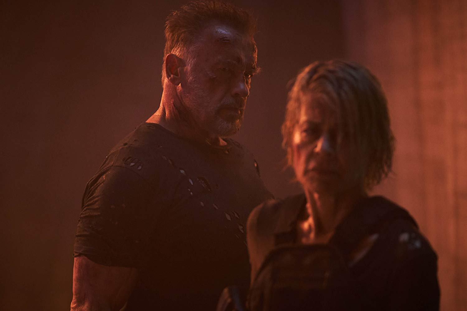 Linda Hamilton e Arnold Schwarzenegger (Fonte: IMDb/Reprodução)