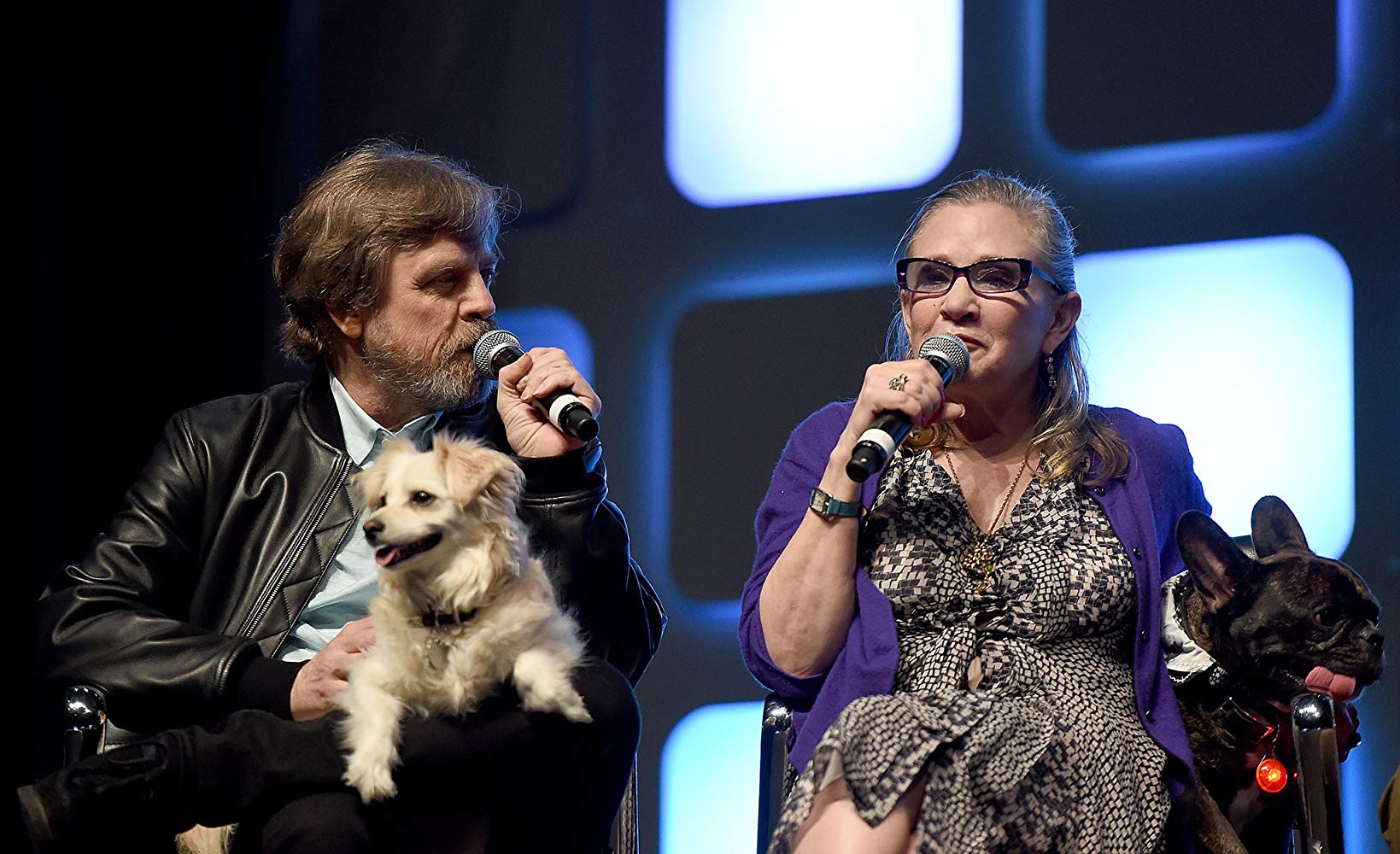 Mark Hamill e Carie Fisher (Fonte: IMDb/Reprodução)