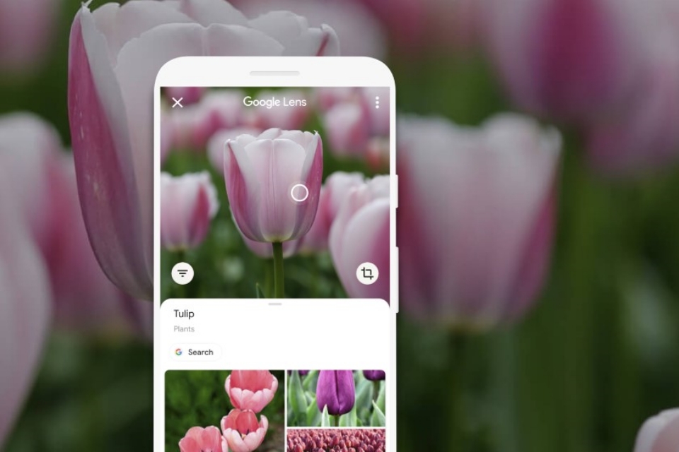 Chrome permite a pesquisa por imagens com Google Lens; veja como