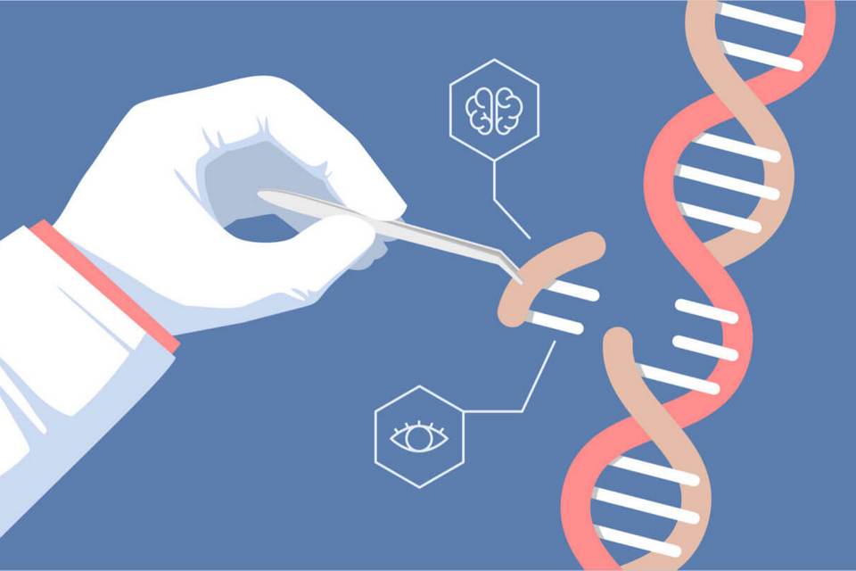 Técnica de edição de genes dá resultado em pacientes humanos