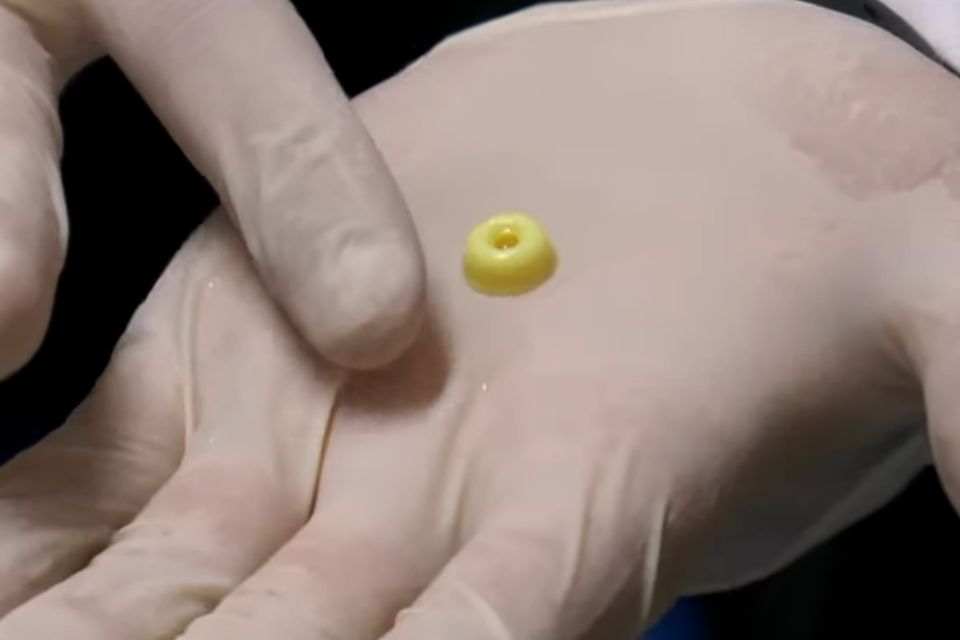 Pesquisadores da USP criam minifígado funcional em impressora 3D