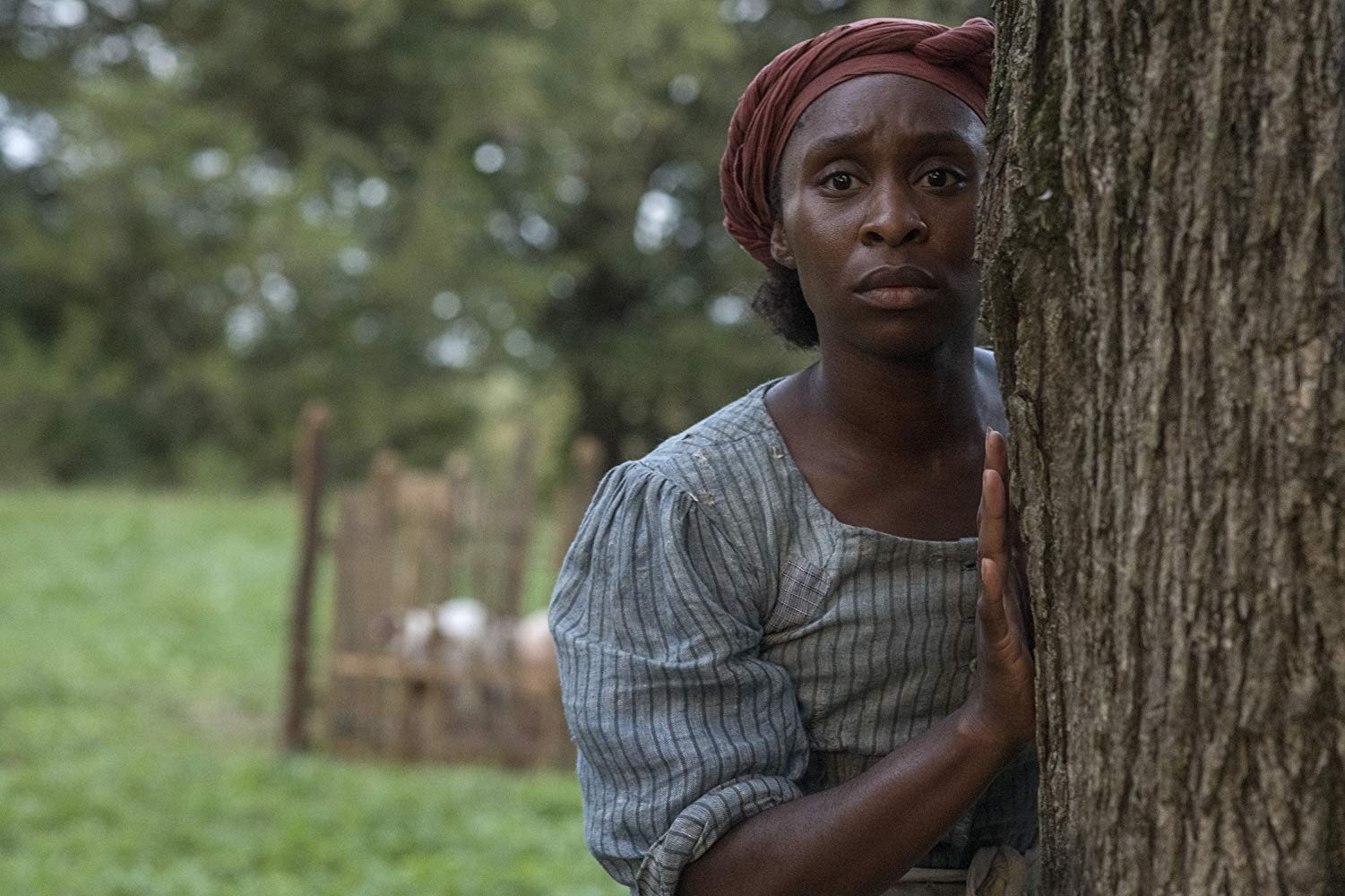 Harriet: estúdio queria Julia Robert no papel de ativista negra
