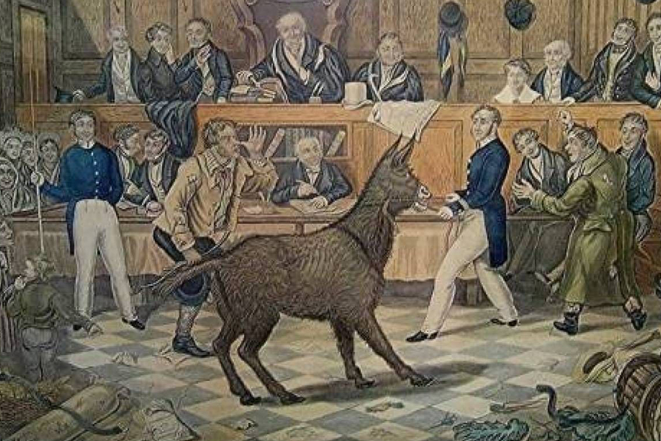 Animais e insetos já foram colocados em julgamentos e condenados