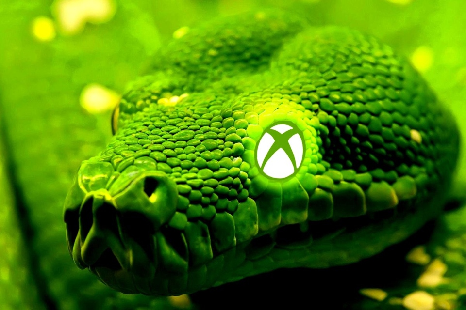 Projeto Scarlett pode surgir em duas versões: Lockhart e Anaconda