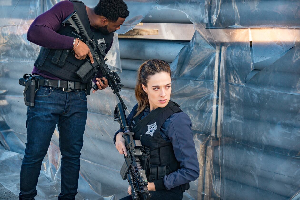 As séries estão voltando! Confira as datas