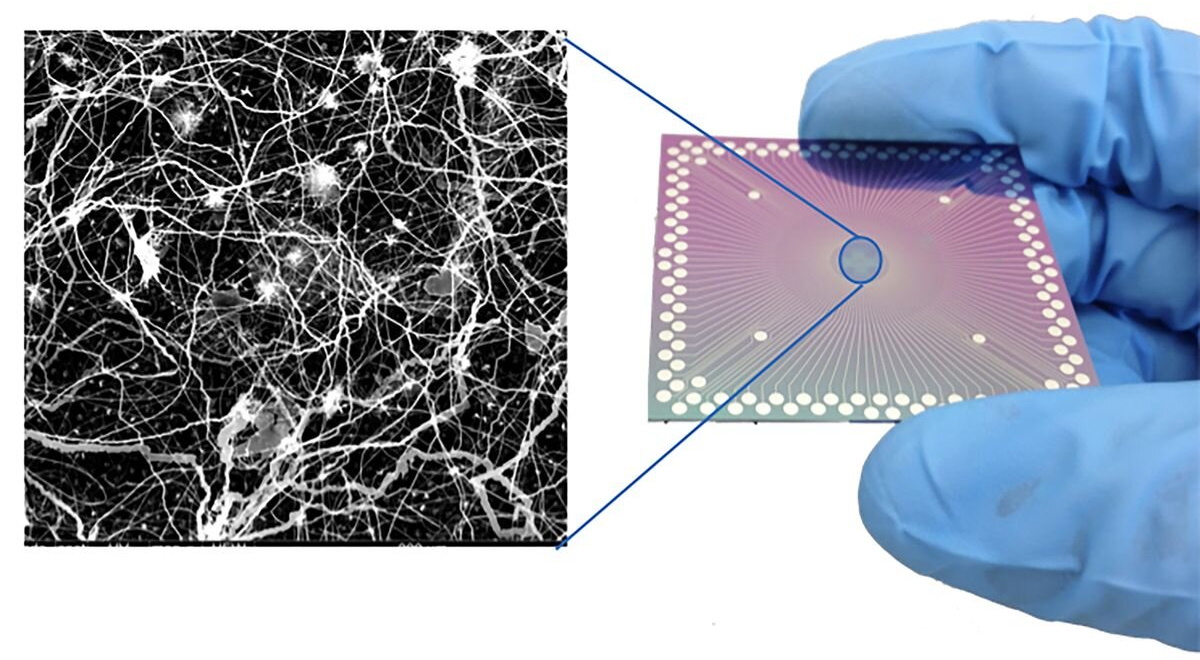 18211333295173 REDE DE NANOFIOS MOSTRA COMPORTAMENTOS COMO OS DO CÉREBRO HUMANO 18211333295173