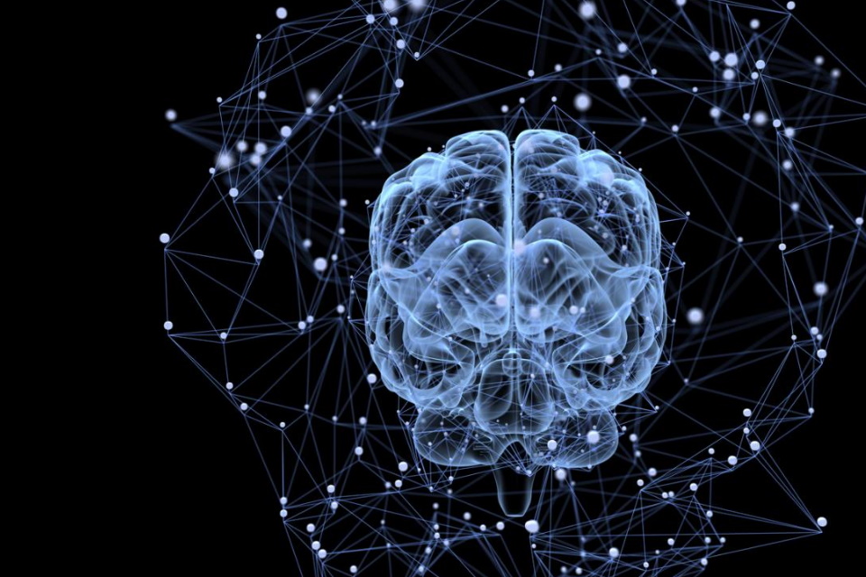 Rede de nanofios mostra comportamentos como os do cérebro humano