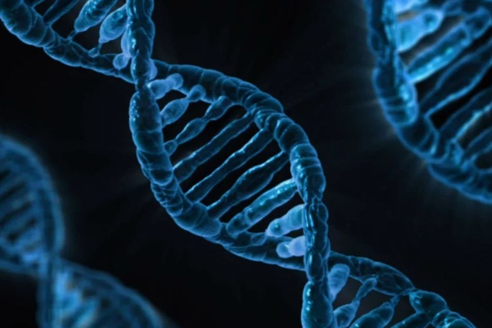 Cientista que editou a genética de embriões é condenado à prisão