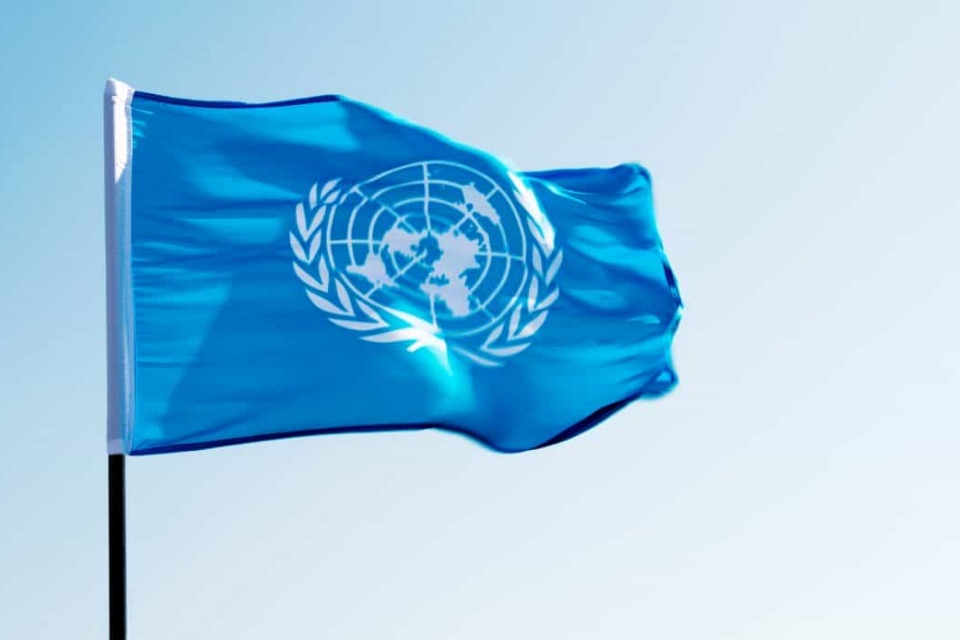 Funcionários da ONU são alvos de phishing com malware Emotet