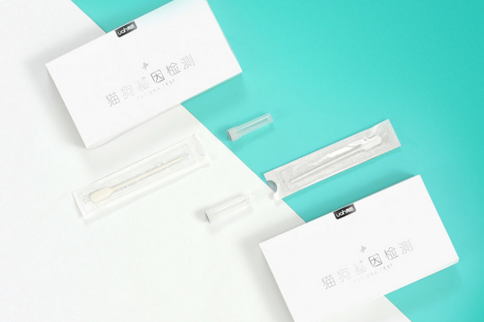 Image result for Xiaomi apresenta teste genético que identifica doenças em pets