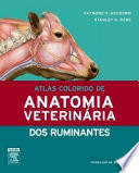 Logo Atlas Colorido De Anatomia Veterinária Dos Ruminantes Ícone Logo Atlas Colorido De Anatomia Veterinária Dos Ruminantes Ícone
