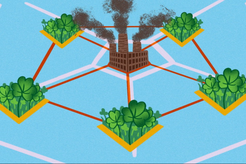 Compensações de carbono: ajudando o planeta ou encobrindo falcatruas?