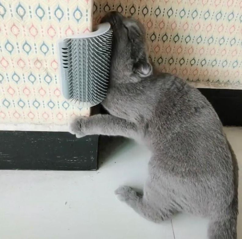 Imagem: Coçador massageador para gatos