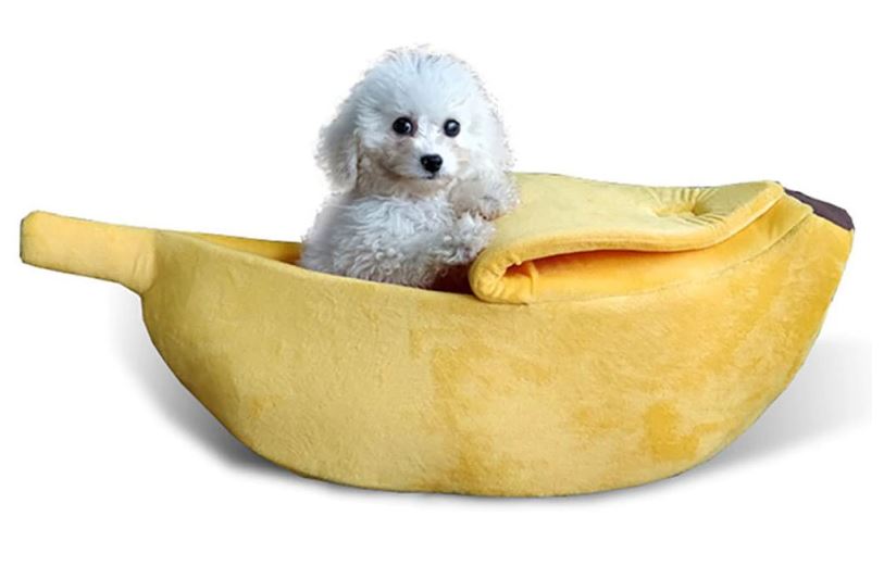Imagem: Cama pet em formato de banana