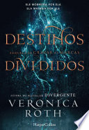 Logo Destinos divididos Ícone