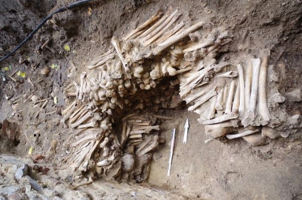 https://www.mirror.co.uk/science/creepy-wall-made-human-bones-21514343