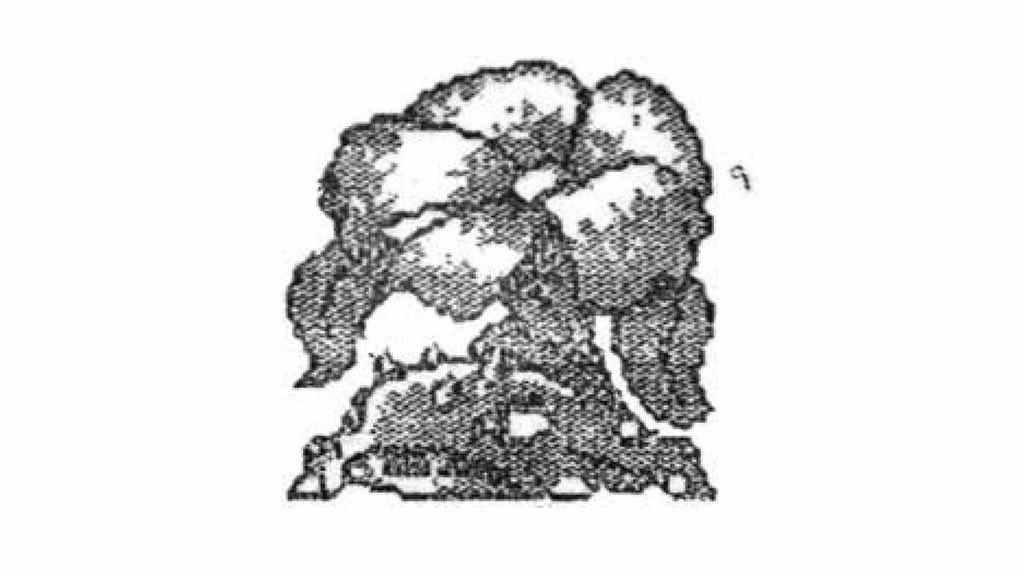 https://nintendosoup.com/ivysaur-had-a-completely-different-design-during-the-development-of-pokemon-red-and-green/