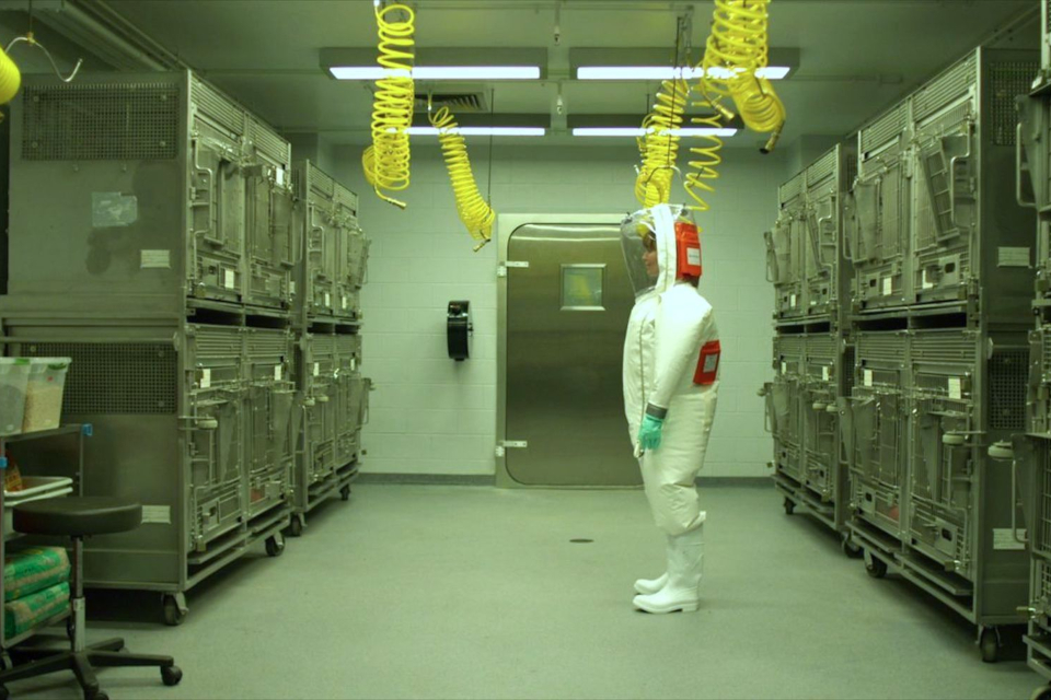 20 filmes e séries sobre epidemia mundial