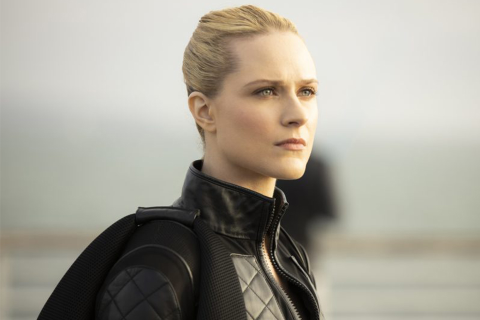 Evan Rachel Wood, como Dolores