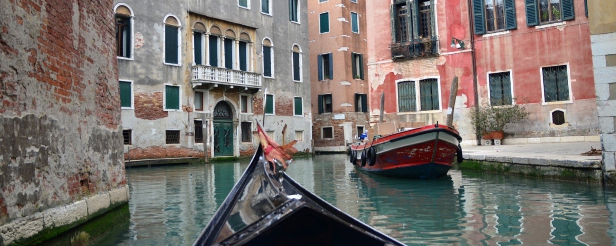 Canais de Veneza parecem mais limpos e com peixes durante ...