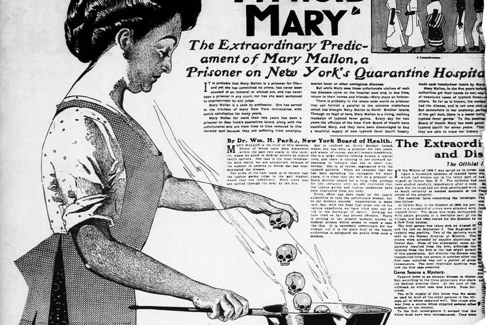 Mary já intitulada como "Mary Tifoide"