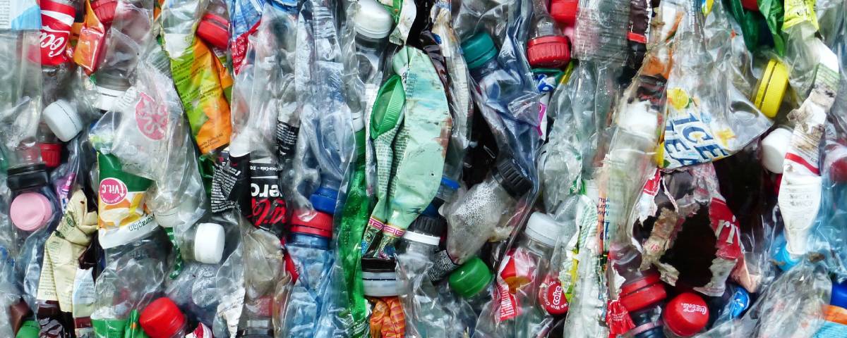 Imagem de: Lixo plástico: cientistas descobrem bactérias que decompõem poliuretano