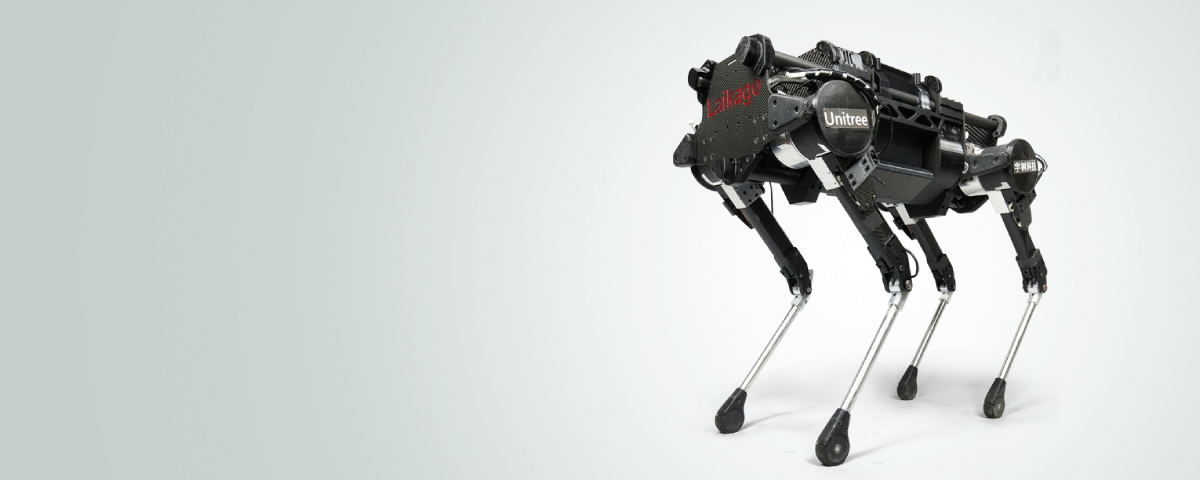 Imagem de: Cães reais ensinam cachorro-robô da Google a andar