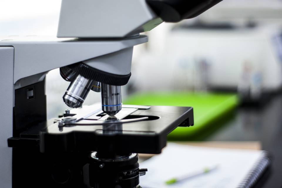 Imagem de: Cientistas testam nova droga para tratamento da covid-19