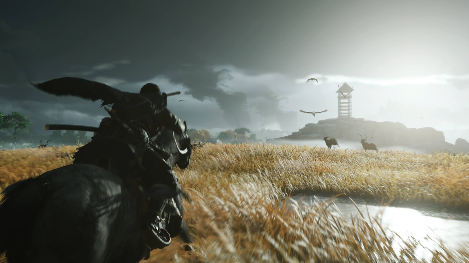 Filme Ghost Of Tsushima em desenvolvimento, dirigido pelo diretor de John Wick | Gaming Lab |
