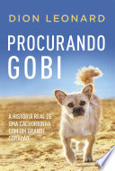 Logo Procurando Gobi Ícone Logo Procurando Gobi Ícone