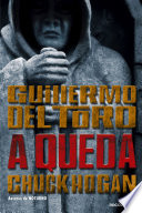 Logo A queda Ícone Logo A queda Ícone