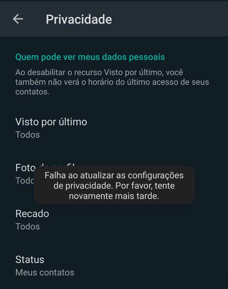 O aplicativo exibe uma mensagem de erro na aba de Privacidade