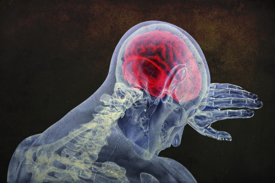 Caso de ameba “comedora de cérebro” alerta autoridades nos EUA