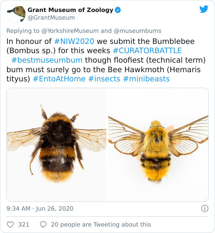 Fonte: @grantmuseum (Reprodução / Twitter)