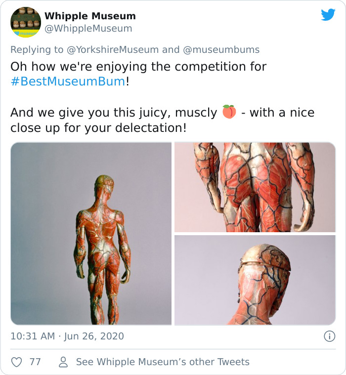 Fonte: @wipplemuseum (Reprodução / Twitter)