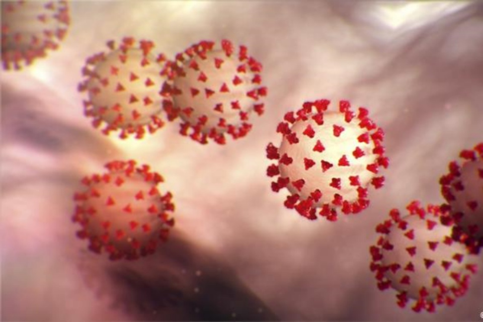 Tecido adiposo pode armazenar vírus da covid-19, diz estudo