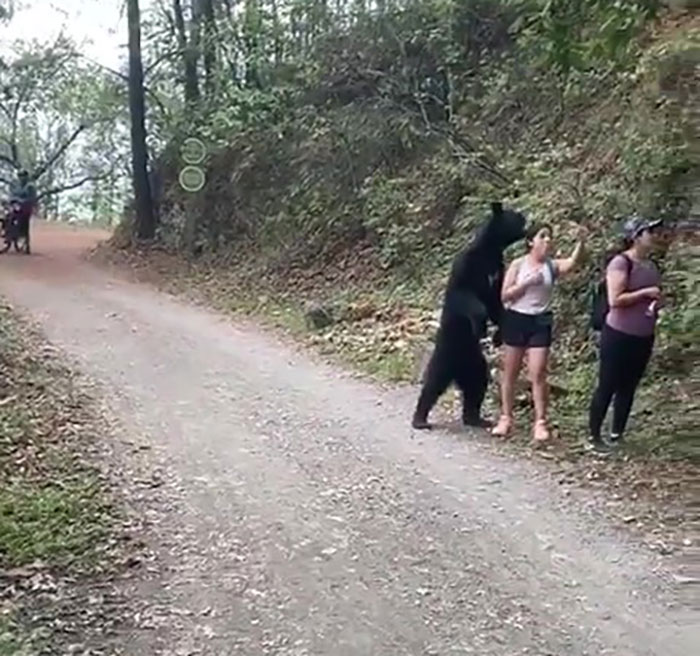 Fonte: @lzaroRos5 (Reprodução/ Twitter)