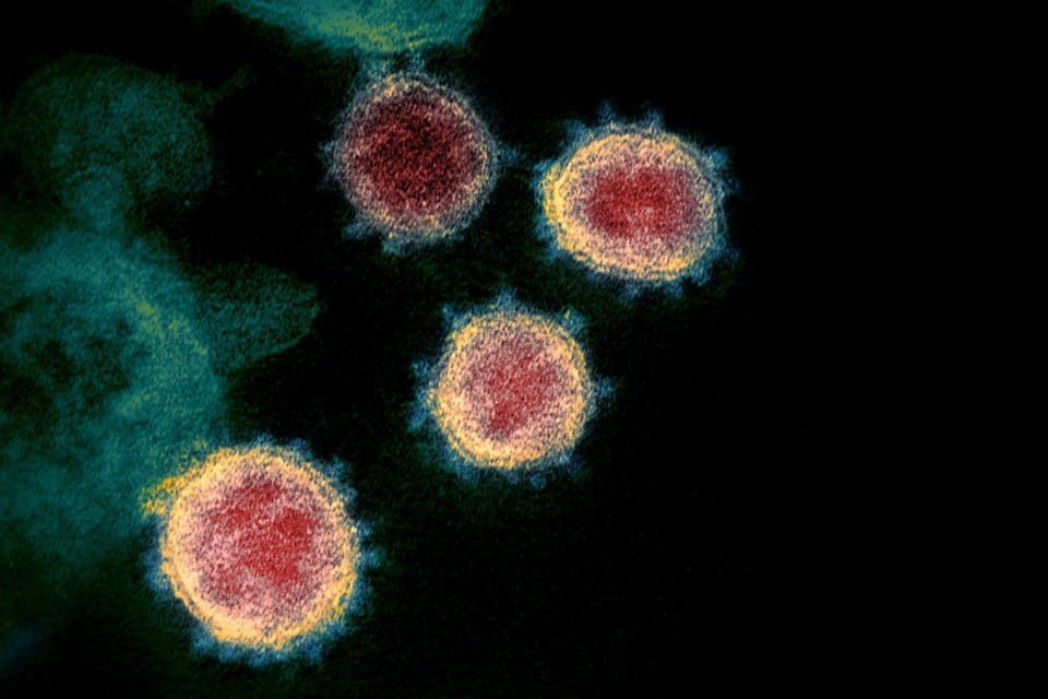 É possível se reinfectar com o novo coronavírus?